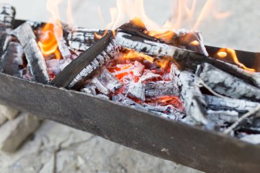 Brezilya 'da odun yakmak. Doğadaki parkta.