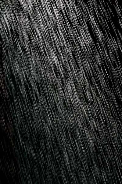 Дощ Чорному Тлі Фотографії Студії — стокове фото