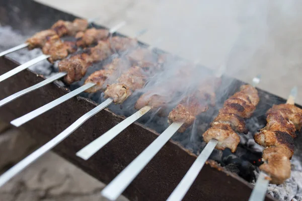 Pinchos Plancha Parrilla Parque Naturaleza —  Fotos de Stock