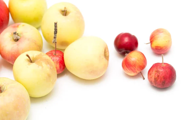 Manzanas Sobre Fondo Blanco Fotos Estudio — Foto de Stock