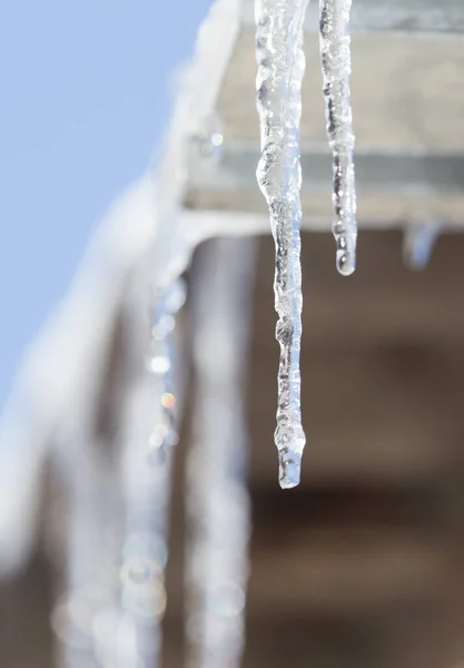 Icicles Hanging Roof Park Nature — Stock Photo, Image