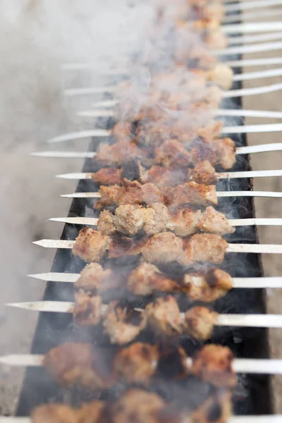 Pinchos Plancha Parrilla Parque Naturaleza —  Fotos de Stock