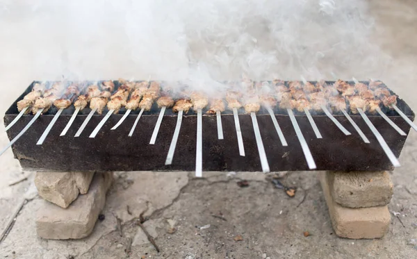 Brochettes Grillées Sur Gril Dans Parc Dans Nature — Photo