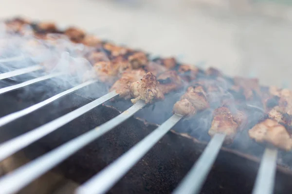 Brochettes Grillées Sur Gril Dans Parc Dans Nature — Photo