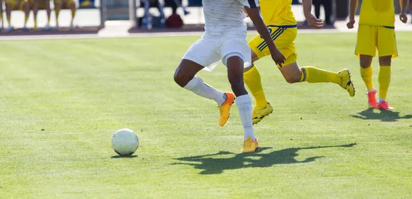 Pallone Calcio Nel Parco Nella Natura — Foto Stock