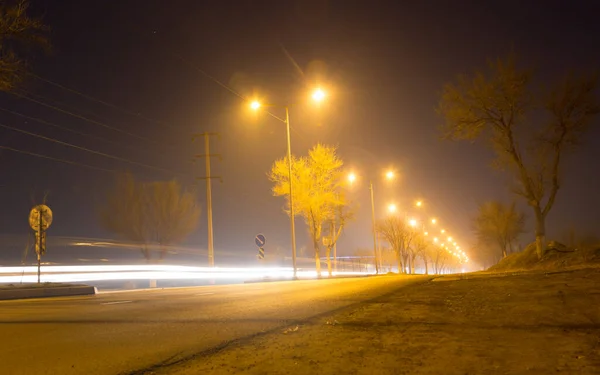 Route Nuit Avec Des Voitures Mouvement Dans Parc Dans Nature — Photo