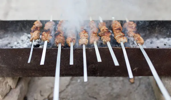 Pinchos Plancha Parrilla Parque Naturaleza —  Fotos de Stock