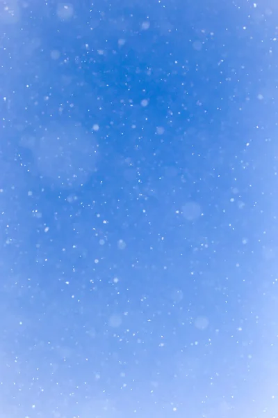 Χιονίζει Στον Γαλάζιο Ουρανό Στο Πάρκο Στη Φύση — Φωτογραφία Αρχείου
