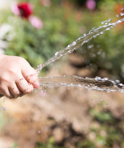 Água Irrigação Mangueira Livre Jardim — Fotografia de Stock