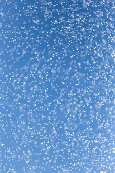Regndråper Blå Himmel Parken Naturen – stockfoto