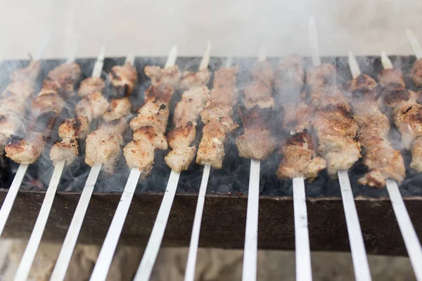 Brochettes Grillées Sur Gril Dans Parc Dans Nature — Photo