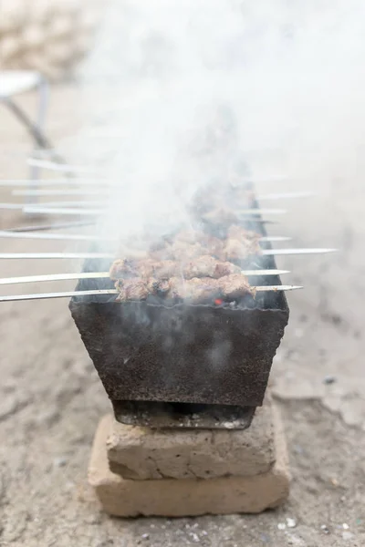 Pinchos Plancha Parrilla Parque Naturaleza —  Fotos de Stock