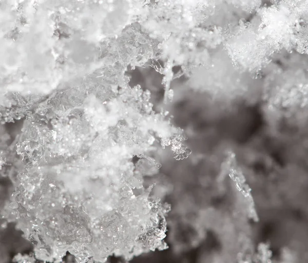 Снежинки Земле Супер Макро Парке Природе — стоковое фото
