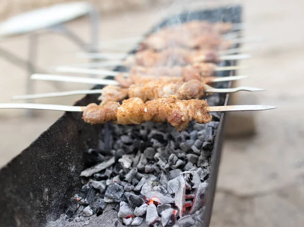 Pinchos Plancha Parrilla Parque Naturaleza —  Fotos de Stock