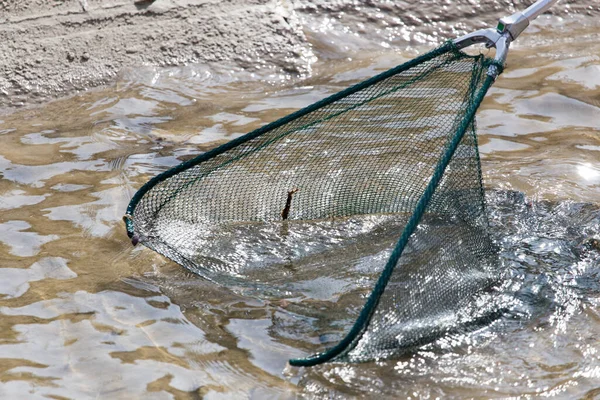 Vissen Met Een Net Rivier — Stockfoto