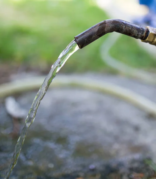 Kraanwater Een Park Natuur — Stockfoto