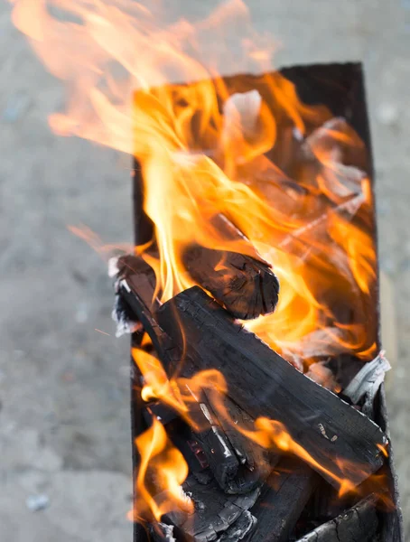 Spalování Dřeva Koši Parku Přírodě — Stock fotografie