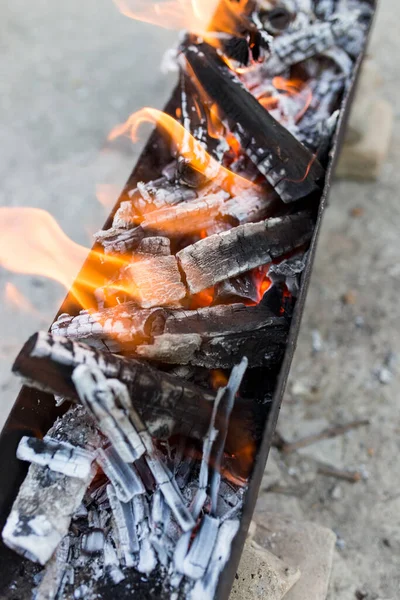 Holz Einem Kohlenbecken Verbrennen Park Der Natur — Stockfoto