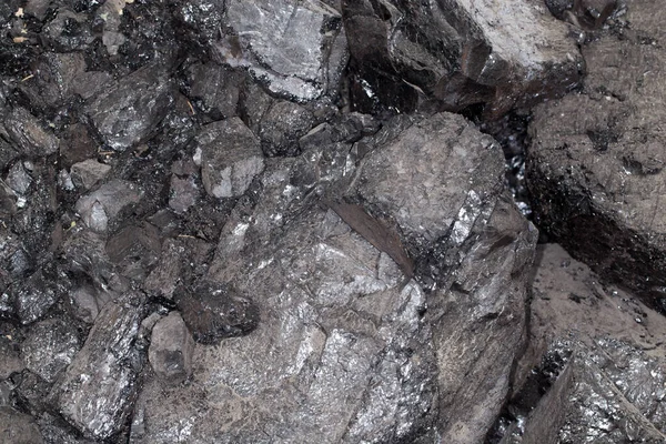 Уголь Фон Парке Природе — стоковое фото