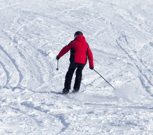 冬は雪山でスキーをする人 — ストック写真