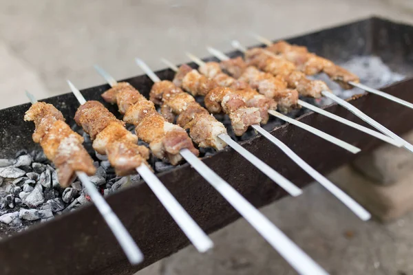 Brochettes Grillées Sur Gril Dans Parc Dans Nature — Photo