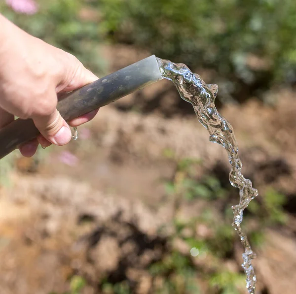 Agua Riego Manguera Aire Libre Jardín —  Fotos de Stock