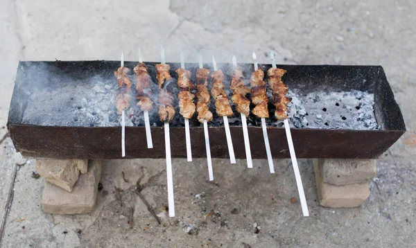 Brochettes Grillées Sur Gril Dans Parc Dans Nature — Photo