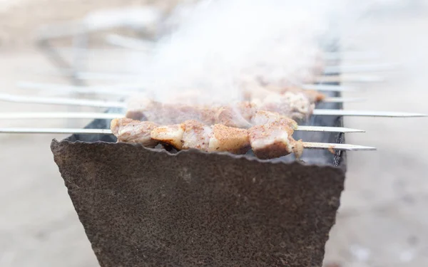 Grilled Skewers Grill Park Nature — Stock Photo, Image