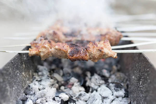 Grilované Špejle Grilu Parku Přírodě — Stock fotografie