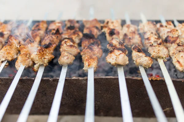 Brochettes Grillées Sur Gril Dans Parc Dans Nature — Photo