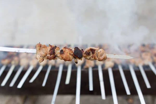 Brochettes Grillées Sur Gril Dans Parc Dans Nature — Photo