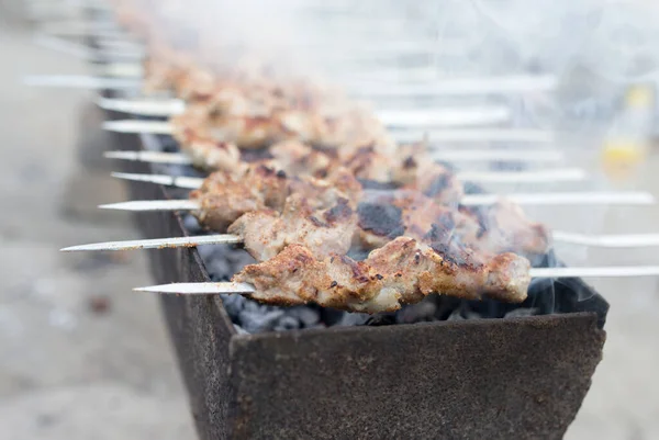 Grilled Skewers Grill Park Nature — Stock Photo, Image