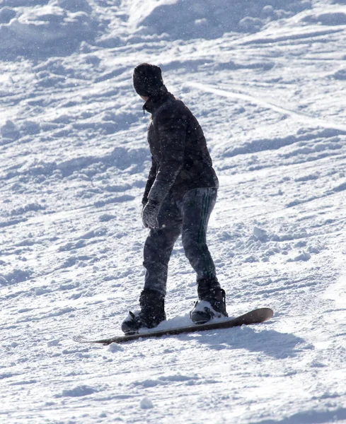 Kışın Snowboard Yapan Bir Adam Doğadaki Parkta — Stok fotoğraf