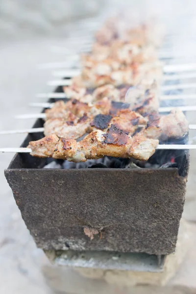 Grilled Skewers Grill Park Nature — Stock Photo, Image