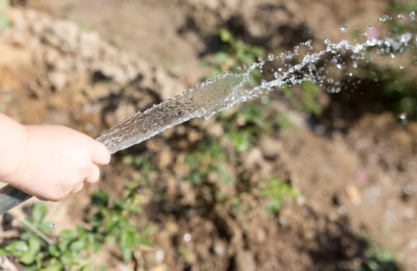 花园室外软管的灌溉用水 — 图库照片