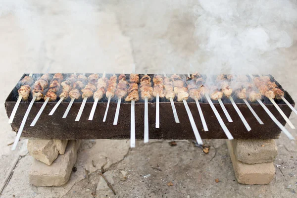 Brochettes Grillées Sur Gril Dans Parc Dans Nature — Photo