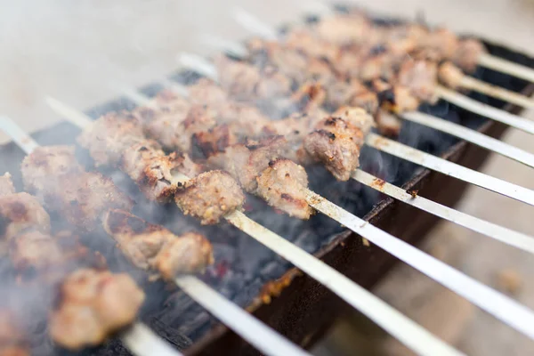 Brochettes Grillées Sur Gril Dans Parc Dans Nature — Photo