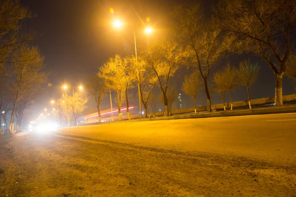 道路在夜间与移动的汽车 在大自然的公园里 — 图库照片