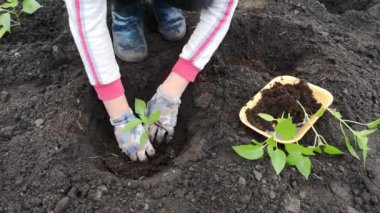 Baharda bahçede çalışan kadının kırpılmış görüntüleri.