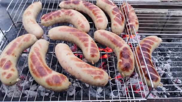 Close Footage Sausages Barbecuing Cage — Stock Video