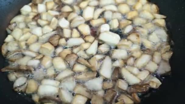 蘑菇在平底锅中油炸的特写镜头 — 图库视频影像