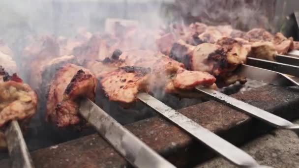 Close Beelden Van Vlees Barbecueën Spiesen — Stockvideo