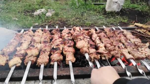 Close Beelden Van Vlees Barbecueën Spiesen — Stockvideo