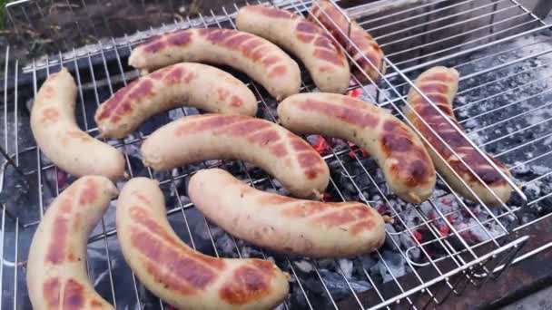 Nahaufnahme Von Würstchen Beim Grillen Käfig — Stockvideo