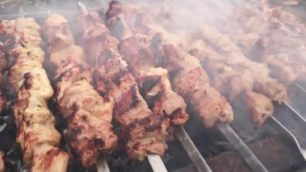 Close Beelden Van Vlees Barbecueën Spiesen — Stockvideo