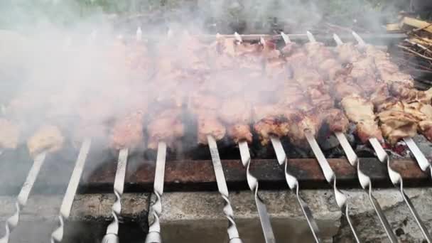 Close Footage Meat Barbecuing Skewers — Stock Video