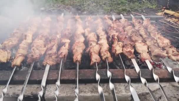 Close Footage Meat Barbecuing Skewers — Stock Video