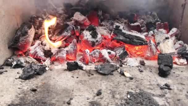 Plans Rapprochés Combustion Charbon Bois Barbecue — Video