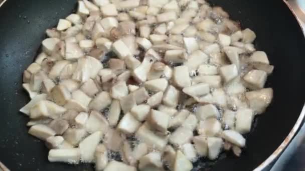 蘑菇在平底锅中油炸的特写镜头 — 图库视频影像