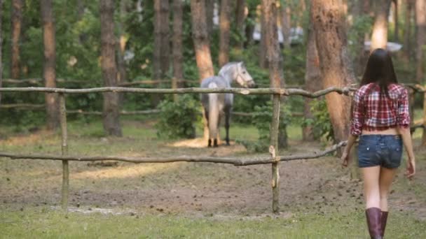 Жінка і кінь. Випадковий сексуальний стиль — стокове відео